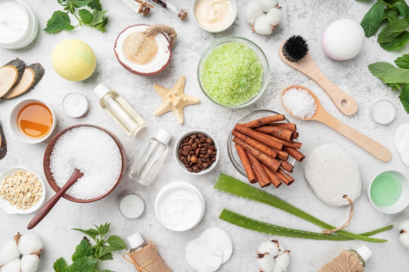 The Power of Plant-Based Skincare: Why Natural Ingredients Matter for Your Skin